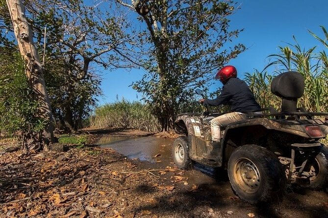 The Wild East of Mauritius: Full-day tour including 2-hour Quad-Biking & Lunch - What the $155.04 price really buys you