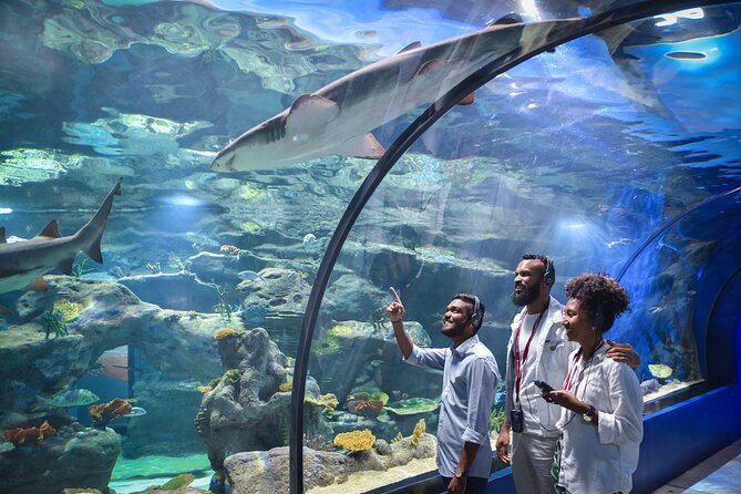 Ticket to the largest Oceanarium of the Mascarene Islands - Why the large main aquarium matters