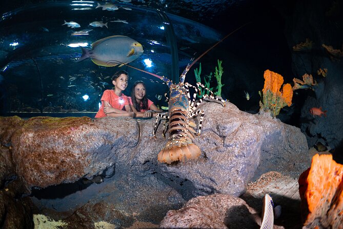Ticket to the largest Oceanarium of the Mascarene Islands - Is the $33.50 ticket good value?