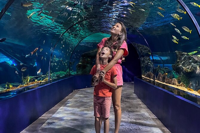Ticket to the largest Oceanarium of the Mascarene Islands - Getting there and using the mobile ticket