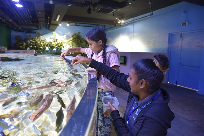 Ticket to the largest Oceanarium of the Mascarene Islands - Ocean conservation gives the visit more weight