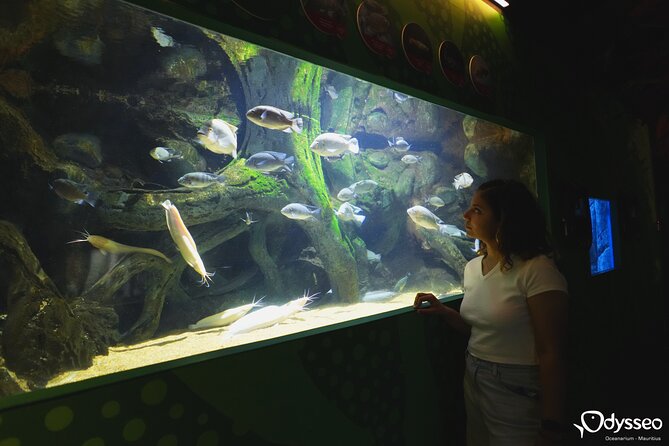 Ticket to the largest Oceanarium of the Mascarene Islands - When to book and when to skip it