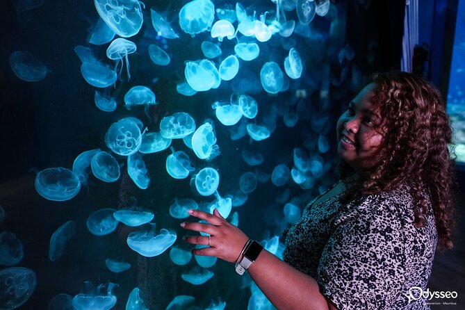Ticket to the largest Oceanarium of the Mascarene Islands - How long to allow for the visit