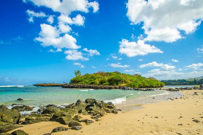 Tropical South West of Mauritius: Full-day All Inclusive tour (Visit to 3 parks) - Alexandra Falls and Black River Gorges deliver the big views