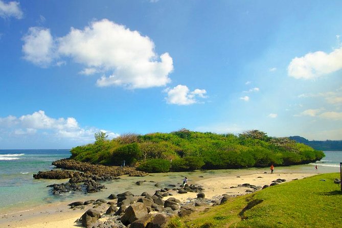 Tropical South West of Mauritius: Full-day All Inclusive tour (Visit to 3 parks) - Rhumerie de Saint Aubin explains Mauritius through sugar cane