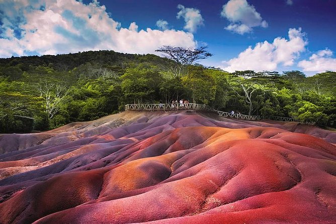 Tropical South West of Mauritius: Full-day All Inclusive tour (Visit to 3 parks) - Bois Cheri closes the day with tea and wide views