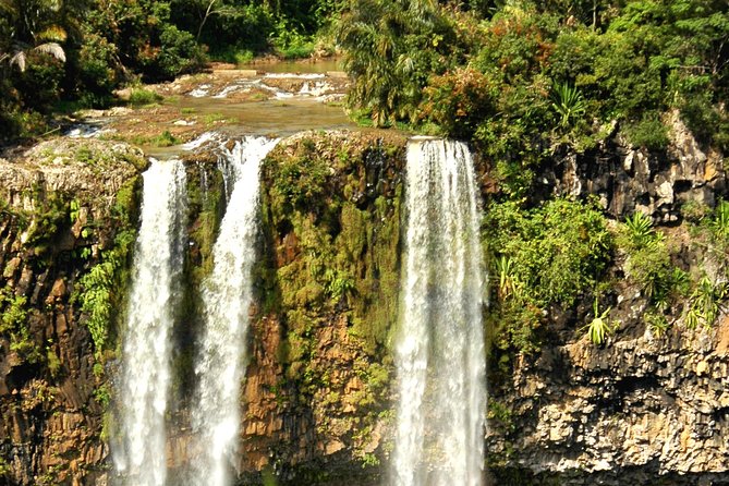 Trou-aux-Cerfs - Grand Bassin - 7 Coloured Earth - Wild South Guided Tour - Black River Gorges in a short 30-minute visit