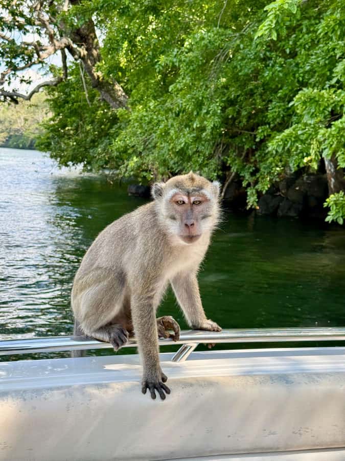 Trou D'Eau Douce: 5 island tour Mauritius with lunch/drinks - Île aux Cerfs, Mauritius’ famous beach stop