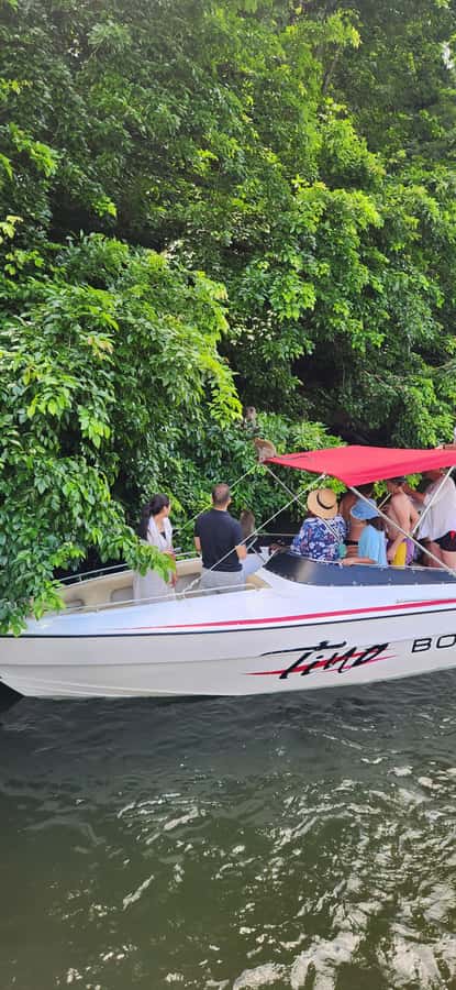 Trou D'Eau Douce: 5 island tour Mauritius with lunch/drinks - Snorkeling in the lagoon