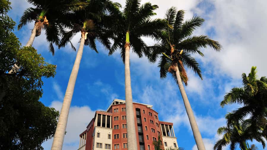 Unveiling the Ancient and Modern Port Louis - city tour - Caudan Waterfront and the modern capital
