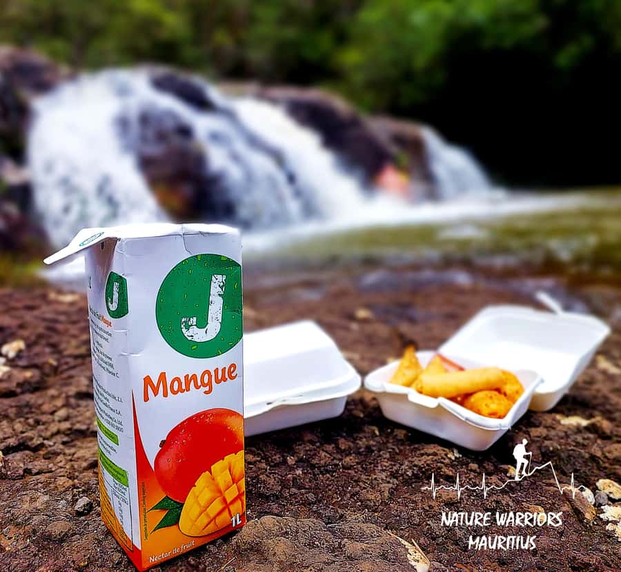 Vacoas-Phoenix: Private Hiking Tour to Tamarind Falls - Forest, plants, animals, and island stories