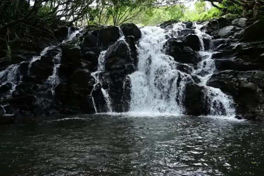 Valle Adventure Park Full Day - Wildlife and rare plants inside the park