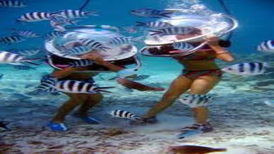 Walking under the sea in Mauritius with transfer - The Real Schedule Behind the Three-Hour Duration