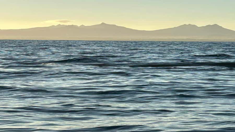 Whale & Dolphins Swimming - Private Speedboat Exclusive Tour - Who should book this Mauritius outing?
