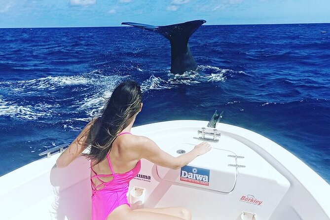 Whale Dream ltd - Whales watching and swim with dolphins - What the private boat adds