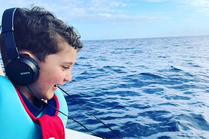 Whale Dream ltd - Whales watching and swim with dolphins - Comfort, timing, and practical limits