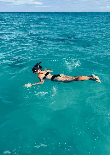 Wild Dolphin Encounter & Snorkeling Adventure – Mauritius. - Entering the water four or five at a time