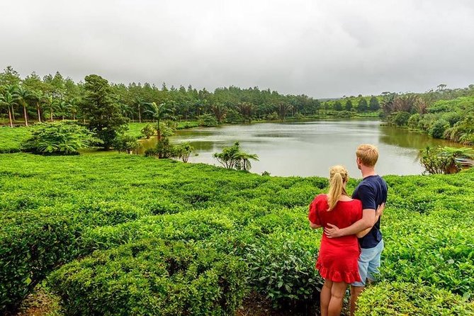 Wild South: Full-Day tour incl Rhumerie St Aubin, Bois cheri Tea factory & Lunch - What this full-day Mauritius tour is really trying to do