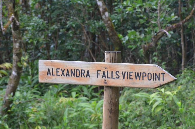 Wild South: Full-Day tour incl Rhumerie St Aubin, Bois cheri Tea factory & Lunch - Bois Chéri Tea Factory and the Tea Route