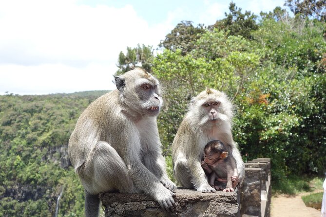 Wild South West Tour : SAFARI & TULAWAKA CASELA PARK & LE MORNE - Three hours at Casela Nature Parks