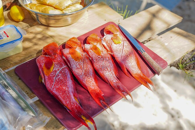 Your Island Voyage Mauritius Speed Boat Excursion With BBQ Lunch - Who should book this Mauritius excursion